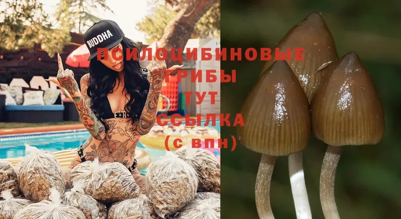 Галлюциногенные грибы MAGIC MUSHROOMS  мега вход  Карталы 